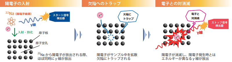 陽電子寿命計測装置 東京都市大学機器分析利用サービス
